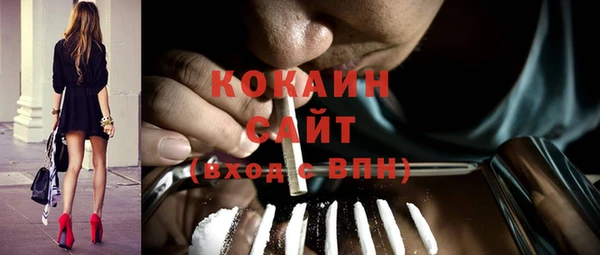 шишки Приозерск