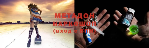 шишки Приозерск