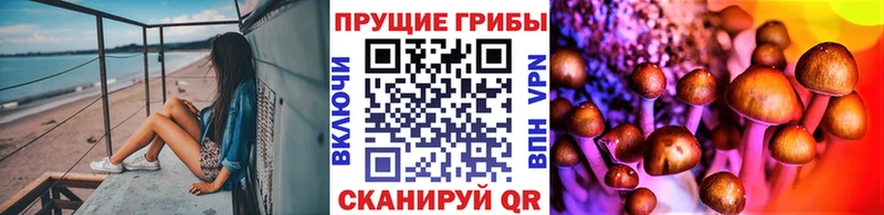 как найти   Мариинский Посад  Галлюциногенные грибы мухоморы 